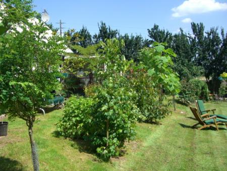 gallery_13487_1771_174815.jpg