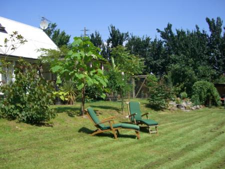 gallery_13487_1771_73245.jpg