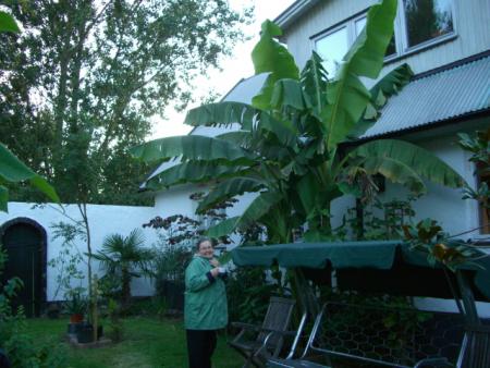 gallery_13487_1771_80598.jpg