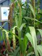 tn_gallery_72_1707_107537.jpg