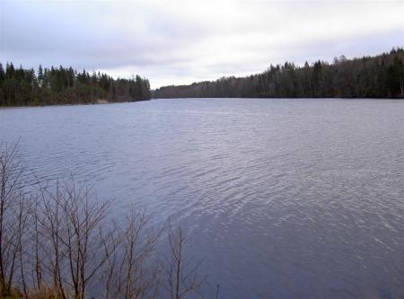 gallery_834_1168_105042.jpg