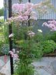 tn_gallery_72_1707_109669.jpg