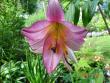tn_gallery_72_1784_81210.jpg