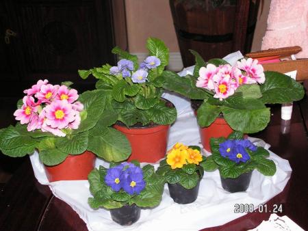 gallery_1786_950_113664.jpg