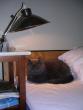 tn_gallery_2778_1793_99854.jpg