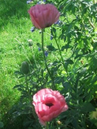 gallery_1185_732_23361.jpg