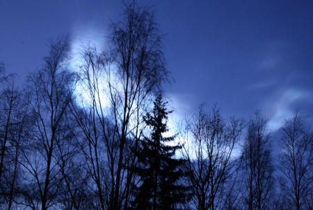 gallery_1307_487_78095.jpg