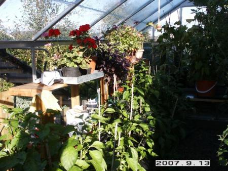 gallery_5956_1124_46259.jpg