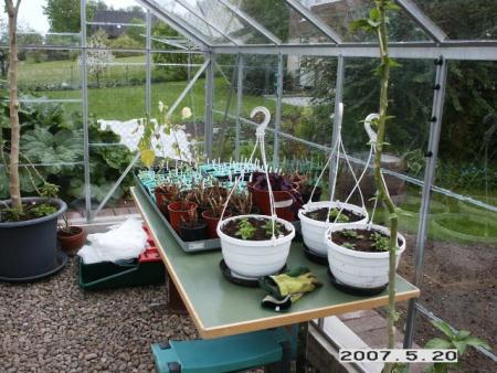 gallery_5956_1124_79260.jpg
