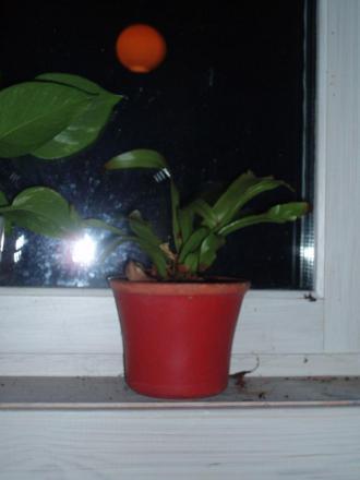 gallery_8132_1806_103490.jpg