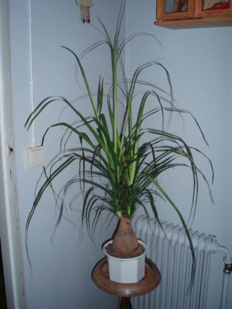 gallery_8132_1806_8924.jpg