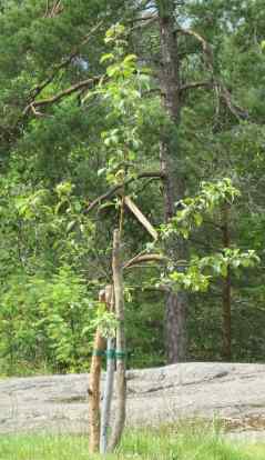 gallery_1011_1819_10443.jpg