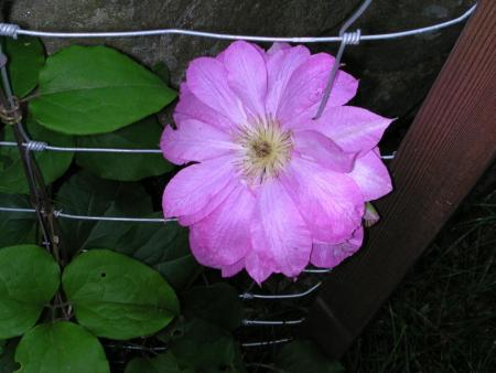 gallery_1162_1817_48027.jpg