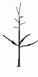 tn_gallery_1011_1819_1444.gif