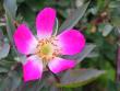 tn_gallery_1162_1815_285102.jpg