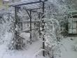 tn_gallery_2985_1829_84382.jpg