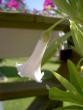 tn_gallery_3363_82_27946.jpg