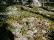 tn_gallery_941_1832_353848.jpg