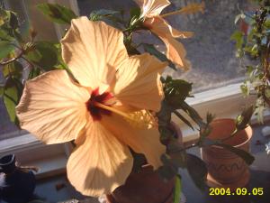 gallery_4113_1840_14436.jpg