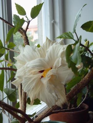 gallery_4113_1840_1544.jpg
