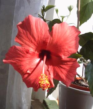 gallery_4113_1840_2370.jpg