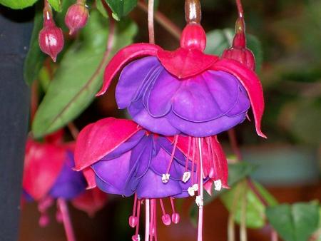 gallery_9263_992_97174.jpg