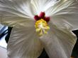 tn_gallery_4113_1840_10253.jpg