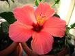 tn_gallery_4113_1840_33476.jpg