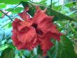 tn_gallery_4113_1840_6201.jpg