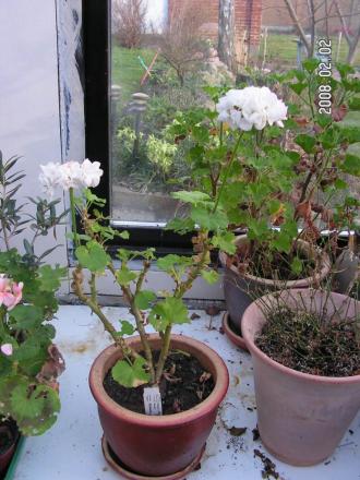 gallery_1786_950_101713.jpg