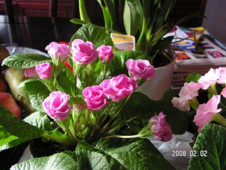 gallery_1786_950_102618.jpg