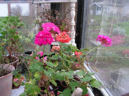 gallery_1786_950_111782.jpg