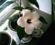tn_gallery_4113_1840_23917.jpg