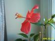 tn_gallery_4113_1840_31764.jpg