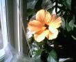 tn_gallery_4113_1840_34509.jpg