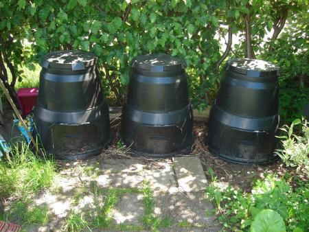 gallery_10406_538_144599.jpg