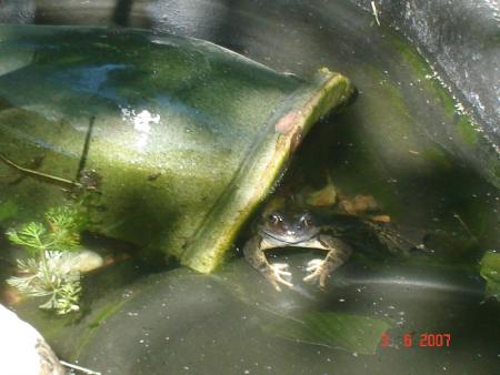 gallery_10406_538_59597.jpg