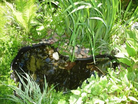 gallery_10406_538_60976.jpg
