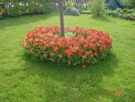 gallery_10406_538_196553.jpg