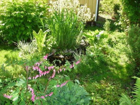 gallery_10406_538_226496.jpg