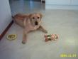 tn_gallery_4113_1856_2960.jpg