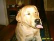 tn_gallery_4113_1856_744.jpg