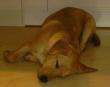 tn_gallery_4113_1856_9947.jpg