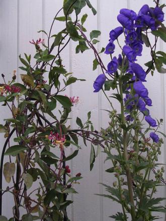 gallery_3210_1864_2364.jpg