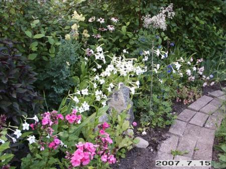 gallery_5956_1861_111094.jpg