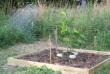 tn_gallery_122_1850_45467.jpg