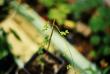 tn_gallery_2460_1862_12964.jpg