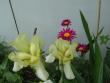 tn_gallery_3210_1864_22945.jpg