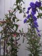 tn_gallery_3210_1864_2364.jpg