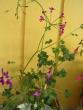 tn_gallery_3210_1864_33260.jpg